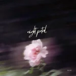 BoyLike - Night Petal